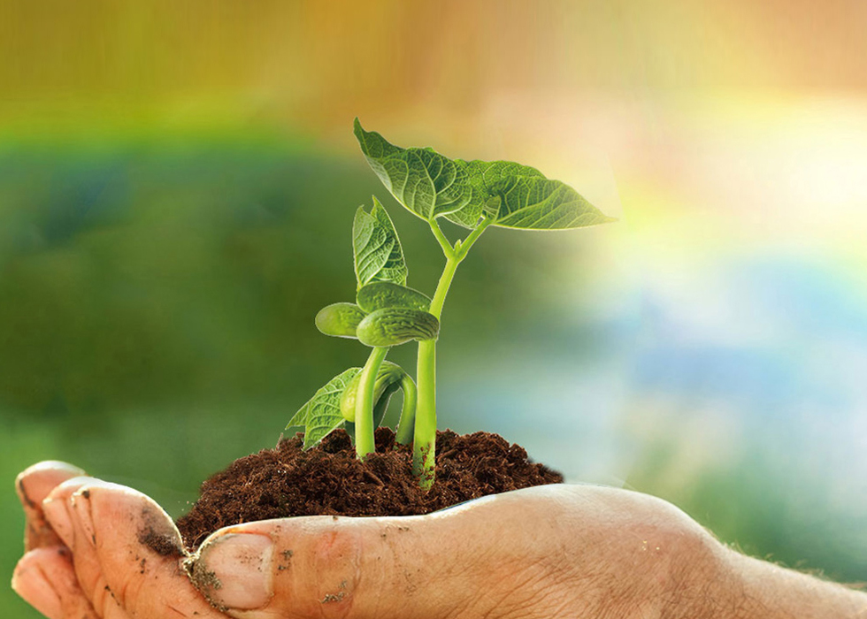 金沙(8087-js认证)娱场城-Officialwebsite