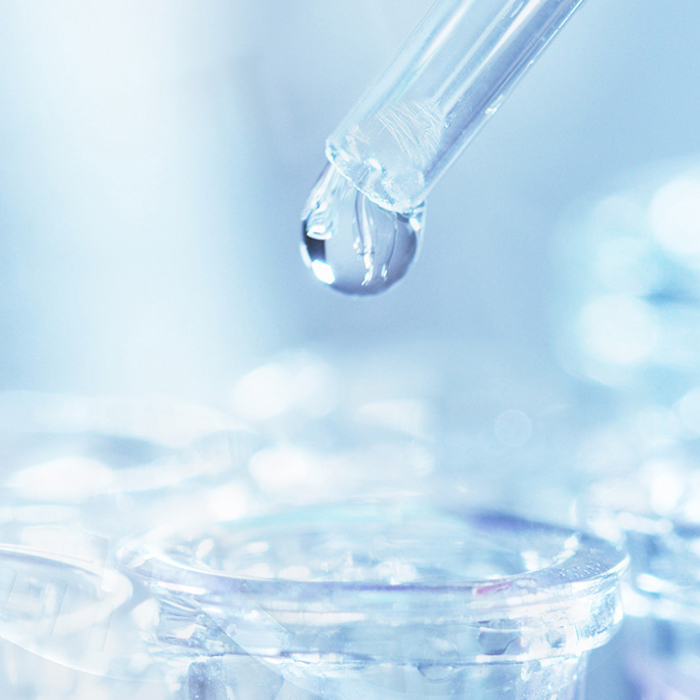 金沙(8087-js认证)娱场城-Officialwebsite