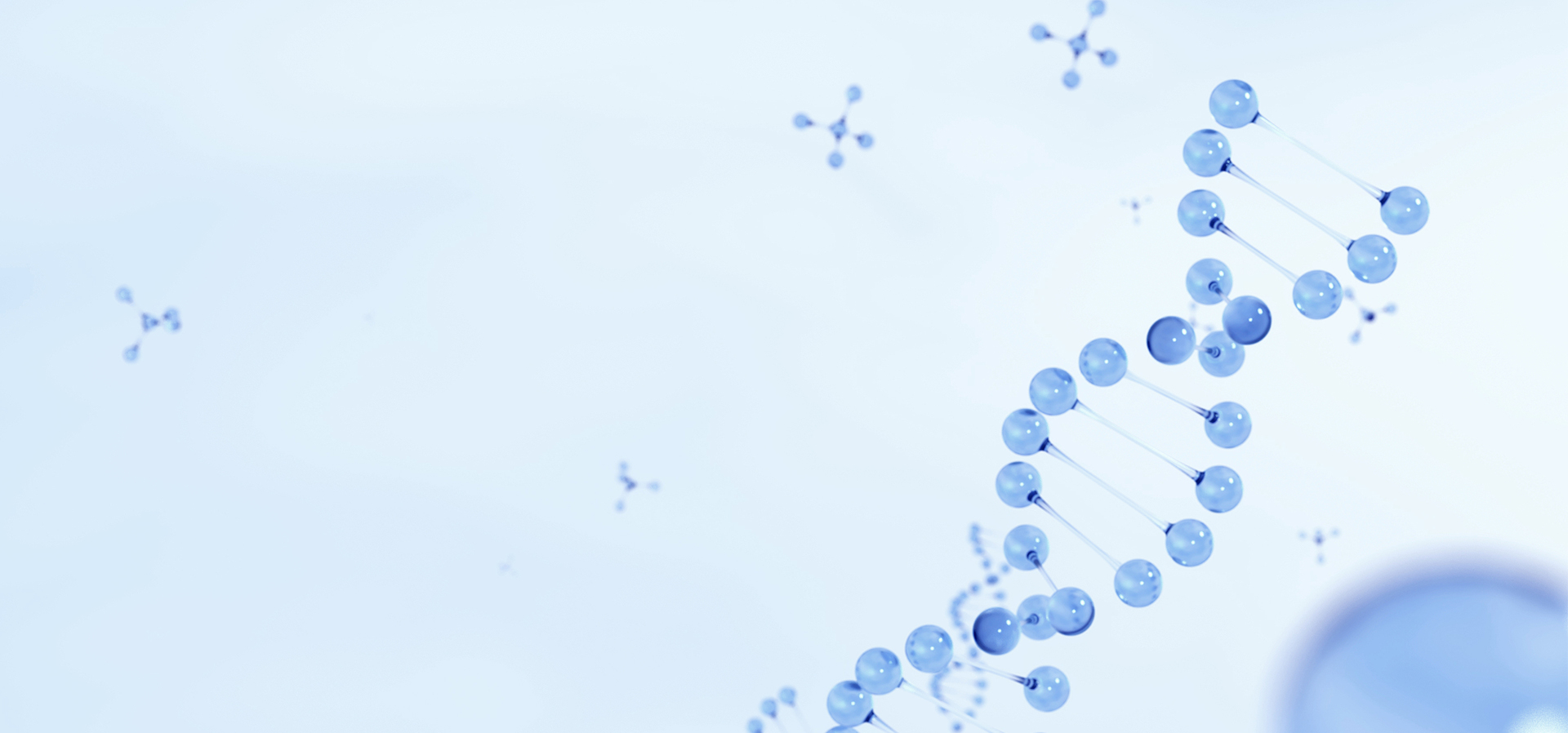 金沙(8087-js认证)娱场城-Officialwebsite